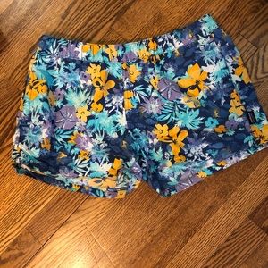 Patagonia baggies, 2in inseam